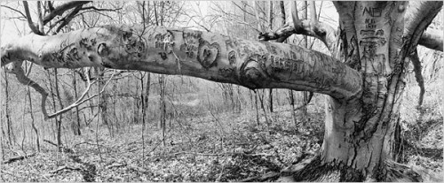 6a00d8341c54d153ef00e54fe0ad818833-800wi