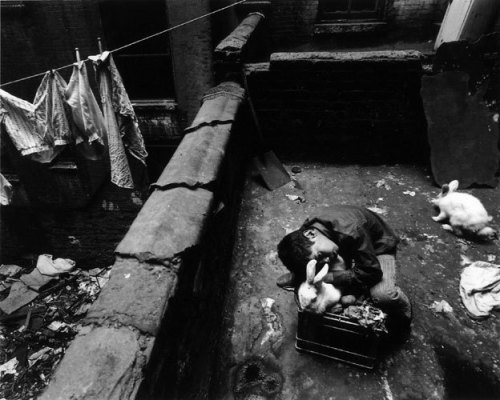 4996_1dsvidson_boy_rabbits