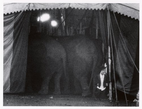 1958 USA. Cirque. USA. Palisades, New Jersey. 1958. The Dwarf. Image send to Greg Kucera (Transaction : 632060012511250000) © Bruce Davidson / Magnum Photos