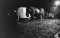 davidson-clyde-beatty-circus-elephants-at-night-1958