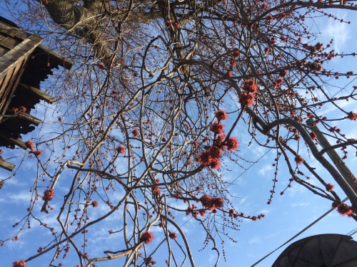 41c2d31e-edbb-4290-8669-3a4bdf69c44a